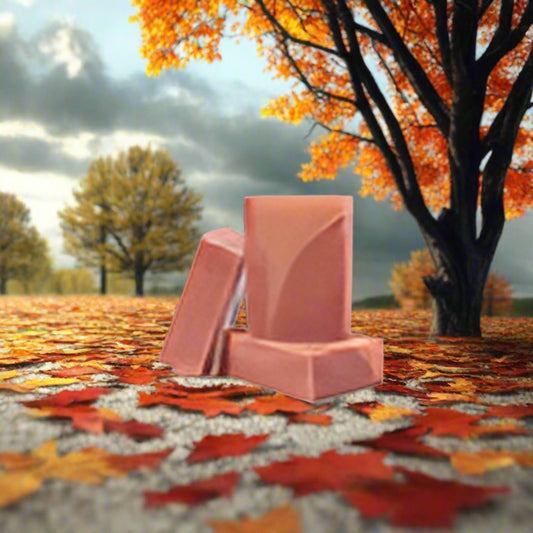 Autumn Orchard Spice Soap